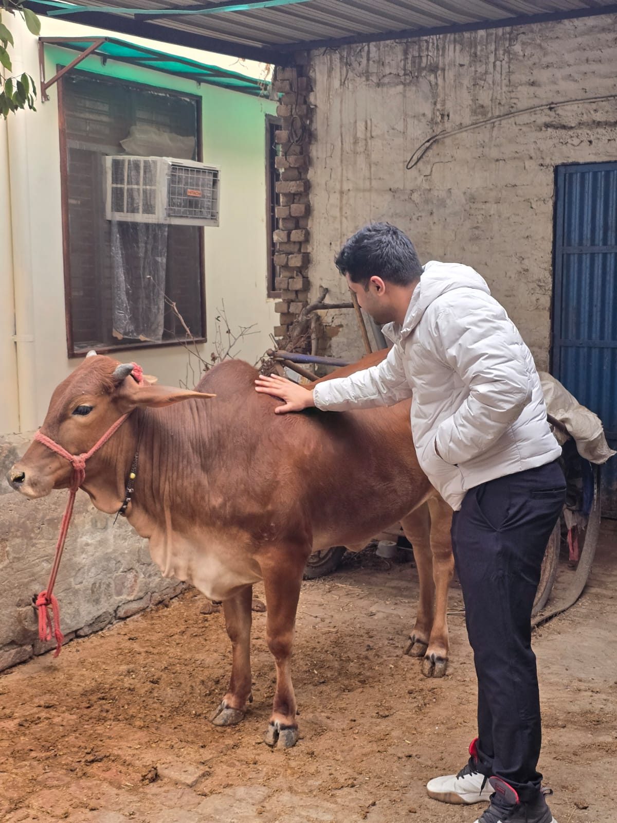 German Hightech Charitable Trust cow-care field visit