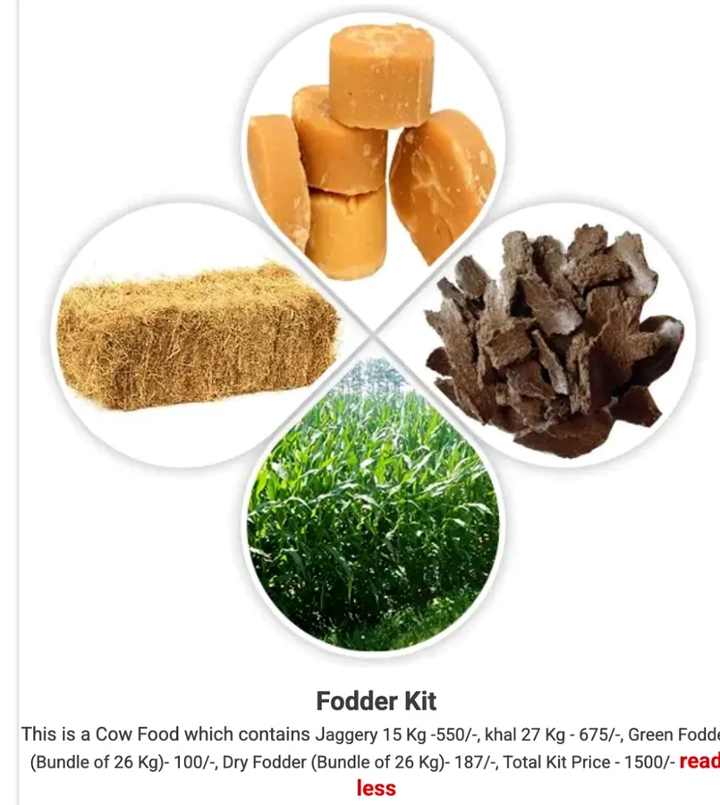 Fodder kit with jaggery, dry fodder, cattle feed and green fodder – German Hightech Charitable Trust